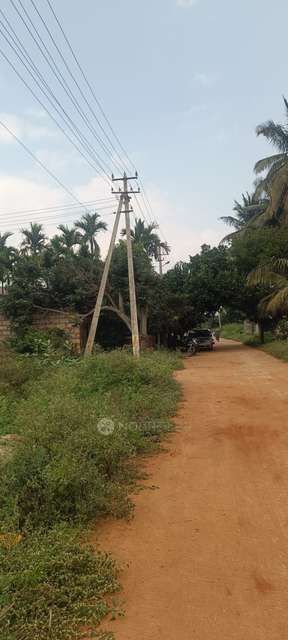 Plot For Sale  In Budumanahalli