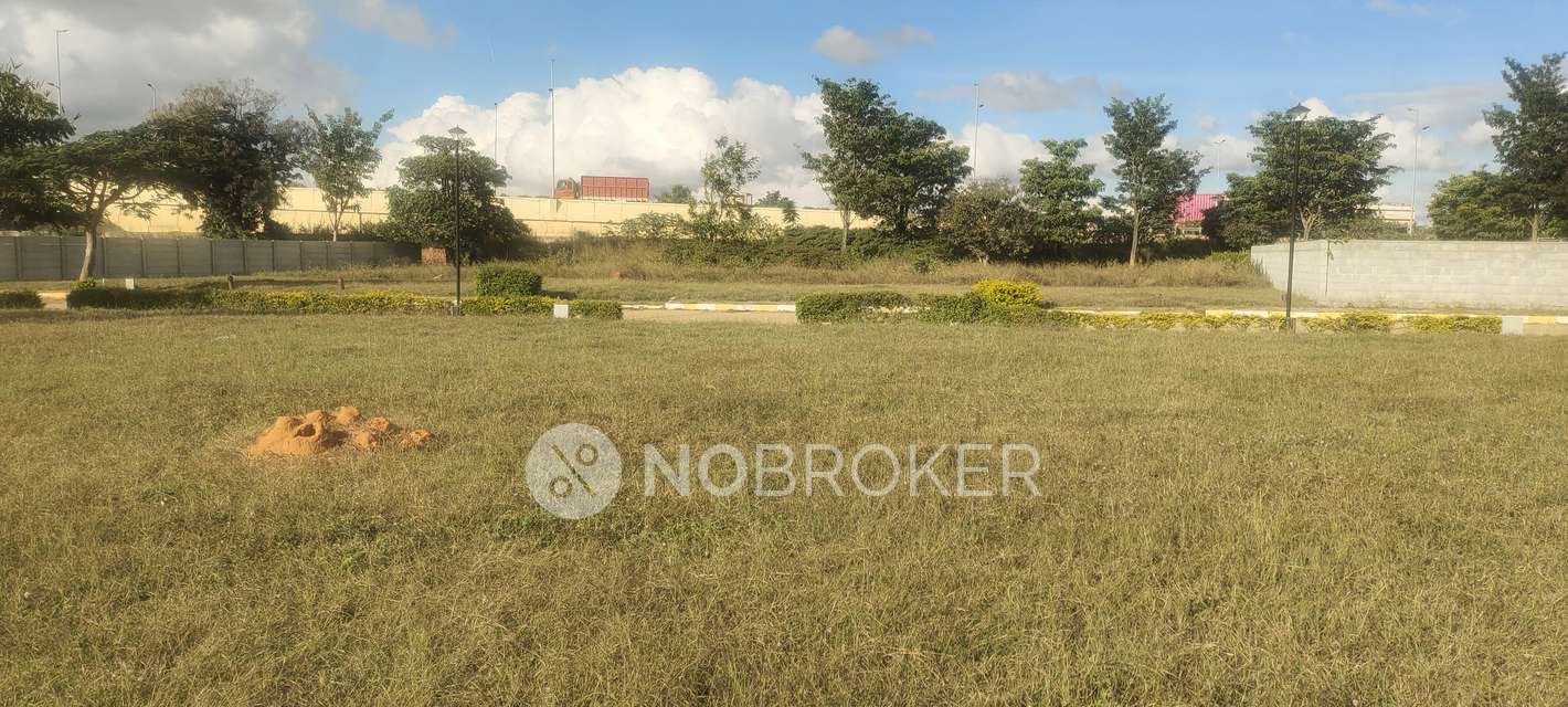 Plot For Sale  In Nitesh Long Island In Devanahalli