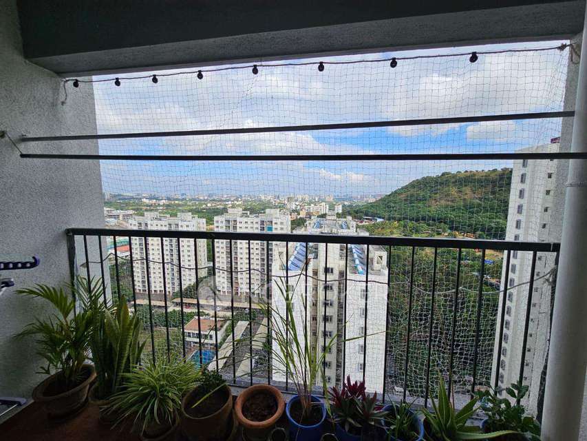 2 BHK Flat In Iris  for Rent  In Hinjewadi