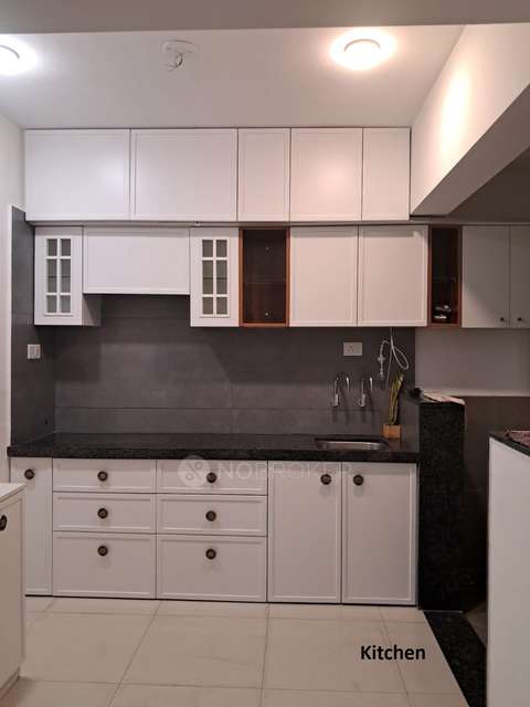 1 BHK Flat In Anp Retreat, Wakad for Rent  In Anp Retreat