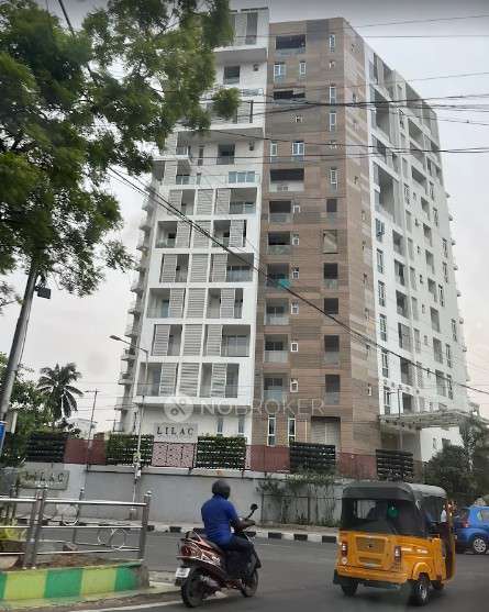 3 BHK Flat In Lilac Heights for Rent  In Raja Annamalaipuram