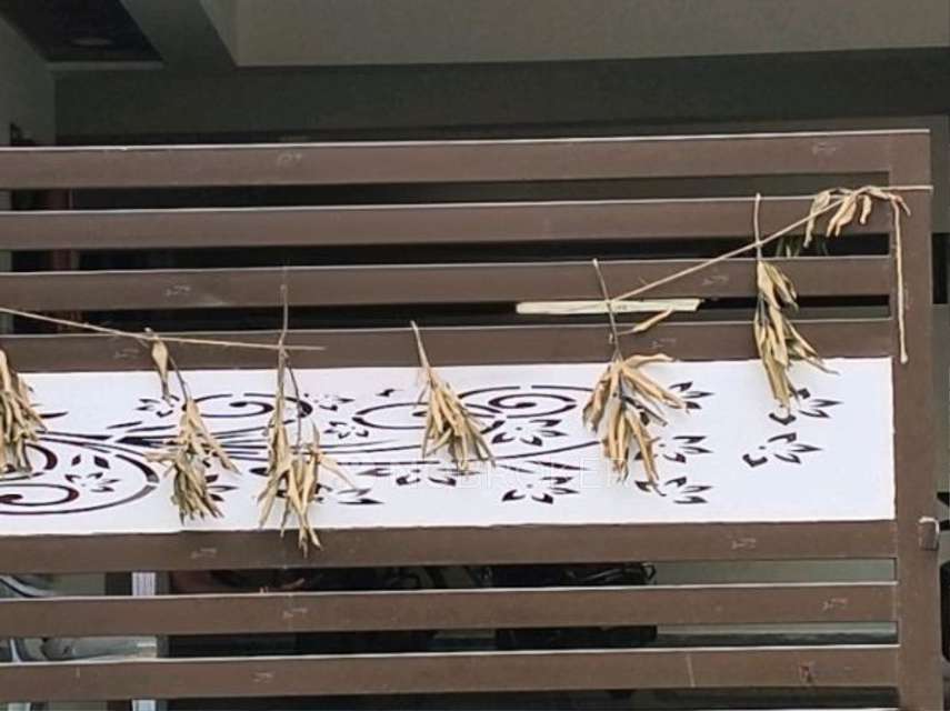 1 BHK Flat In Apartment for Rent  In Sri Ram Nagar Colony Kondapur