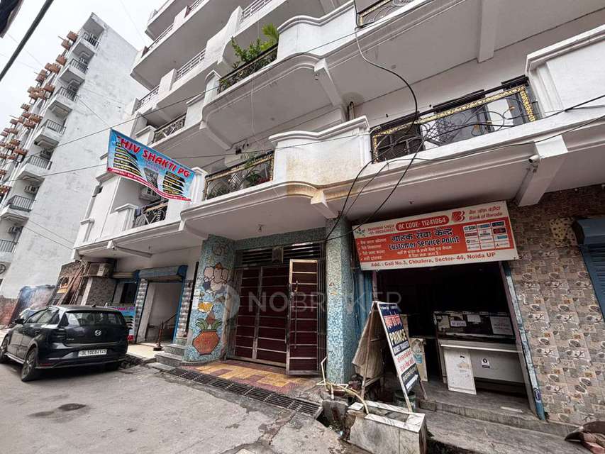 PG for Anyone in Sector 44