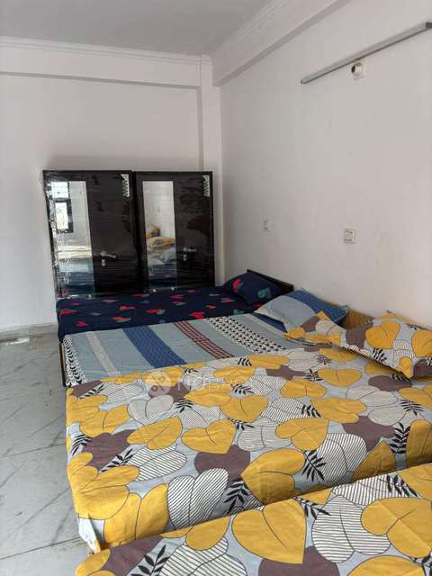 PG for Anyone in Sector 44