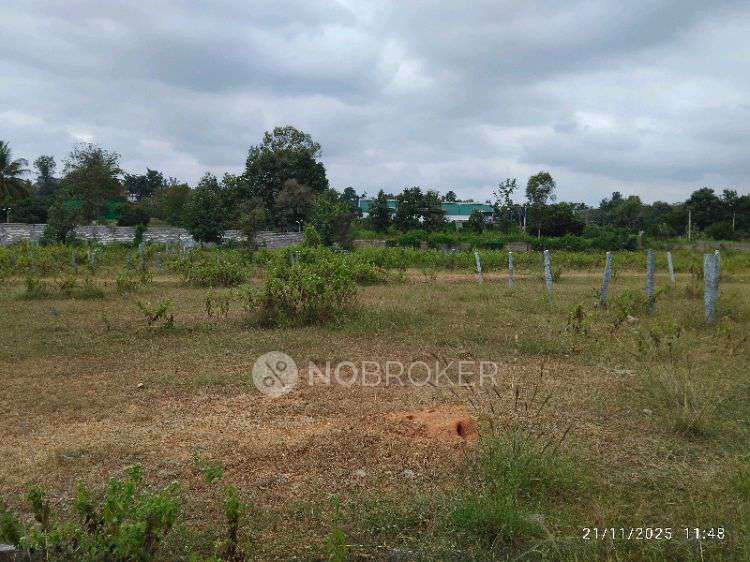 Plot For Sale  In Dadasanapura Hobli 