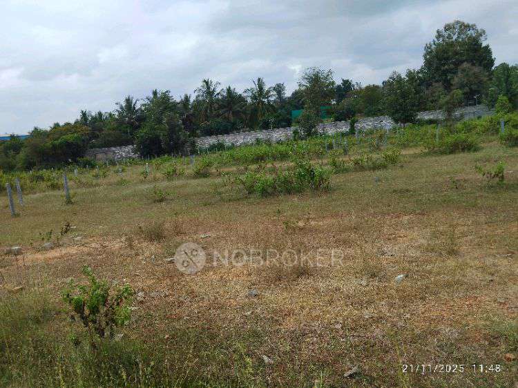 Plot For Sale  In Dadasanapura Hobli 