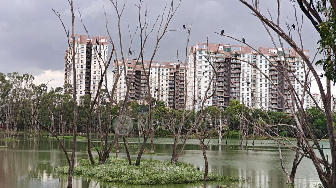 3 BHK Flat In Purva Sunshine Apartments for Rent  In Kaikondrahalli