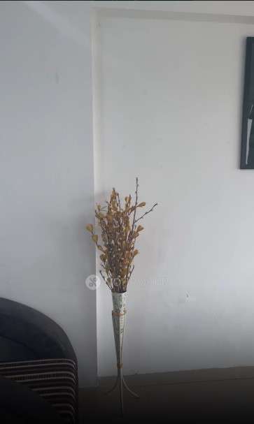 2 BHK Flat In Majestique Magnum for Rent  In Majestique Magnum