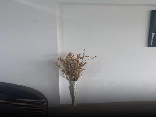 2 BHK Flat In Majestique Magnum for Rent  In Majestique Magnum