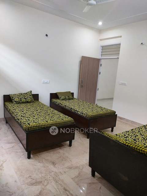 PG for Anyone in Sector 48,