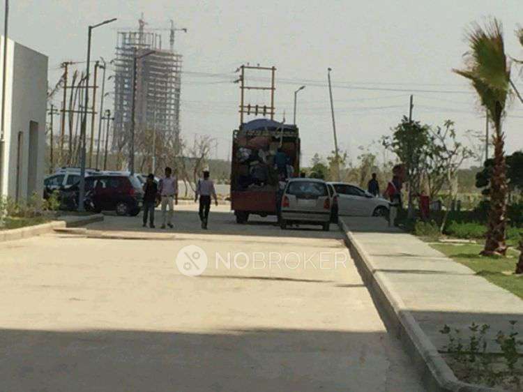 3 BHK Flat In Lotus Zing for Rent  In Sector 168