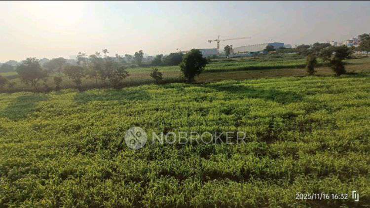 1 BHK House for Rent  In Dubenagar Sai Mandir Ashram Road, Kesnand Rd, Wagholi, Pune, Maharashtra 412207, India