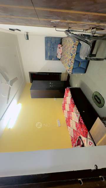 PG for Boys in Sector 20