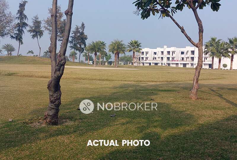 Plot For Sale  In Sector 135