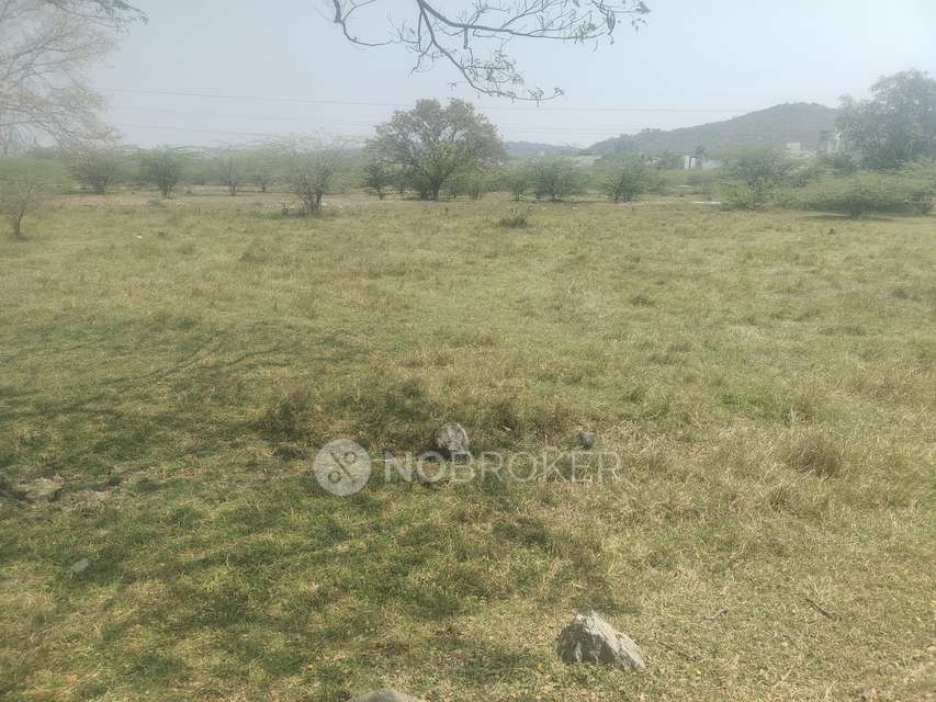 Plot For Sale  In Chettipunyam