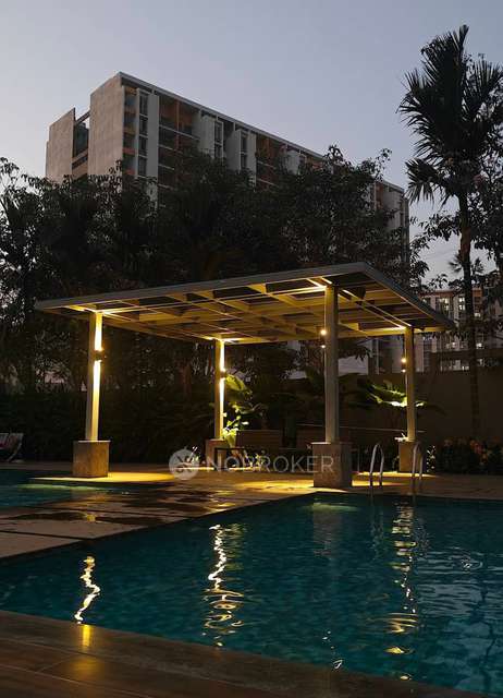 2 BHK Flat In 32 Pinewood Drive for Rent  In Hinjewadi
