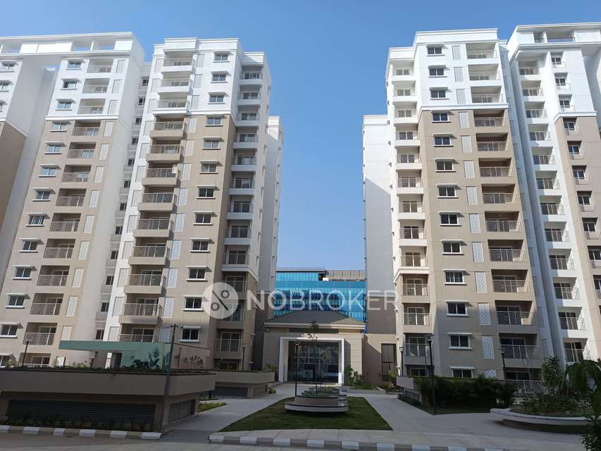 3 BHK Flat In Prestige Green Gables for Rent  In Panathur