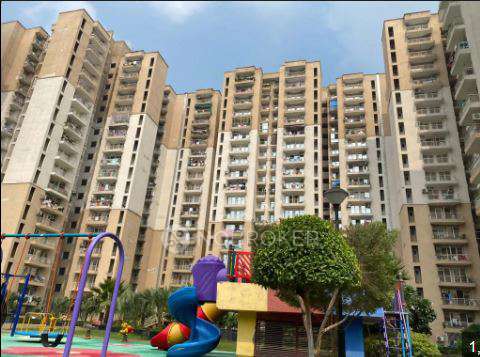 Single Room for Female In 2 BHK  In Nirala Greenshire In Sector 2