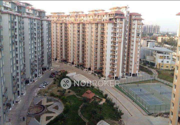 Shared Room for  In 4 BHK  In Awho Sandeep Vihar In Kannamangala