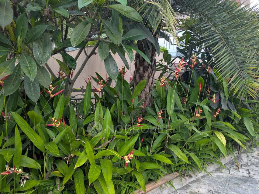 3 BHK House for Rent In Somatane