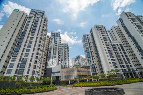 3 BHK Flat In Snn Raj Etternia for Rent  In Haralur Road