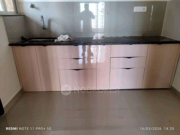 2 BHK Flat In Puraniks Abitante Fiore for Rent  In Bavdhan