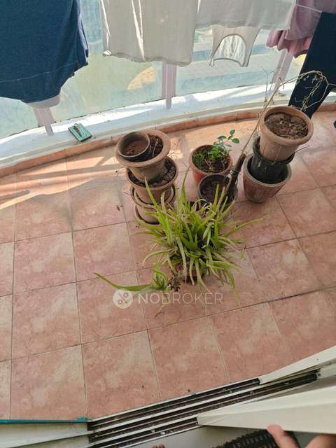 2 BHK Flat for Rent  In Hinjawadi,