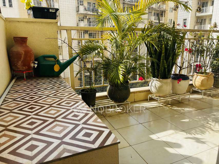 3 BHK Flat In Emaar Palm Hills For Sale  In Sector 77