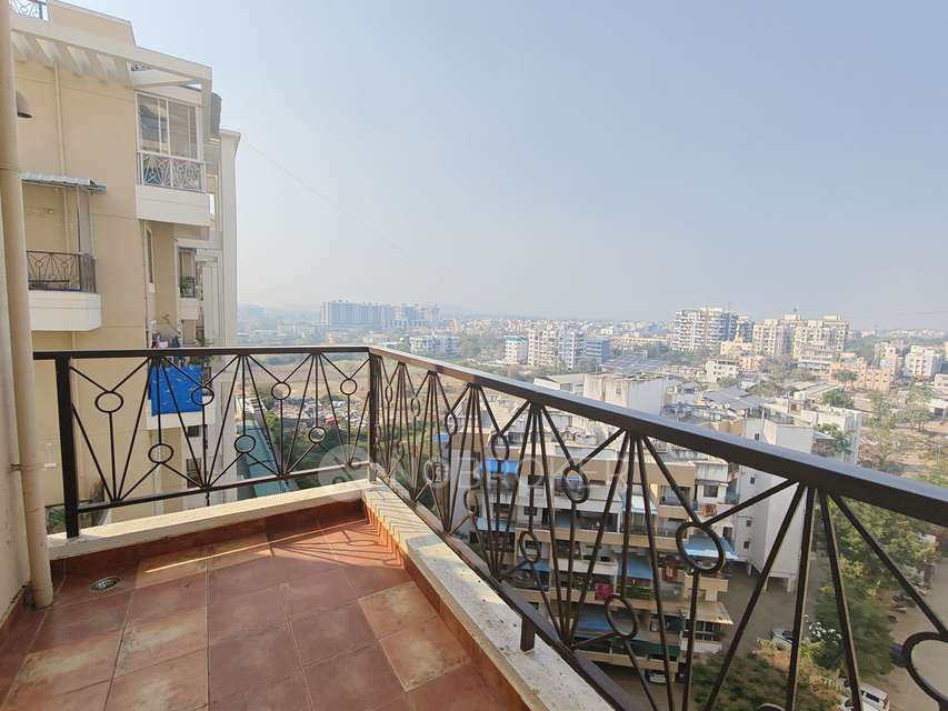 3 BHK Flat In Nyati Elan for Rent  In Wagholi