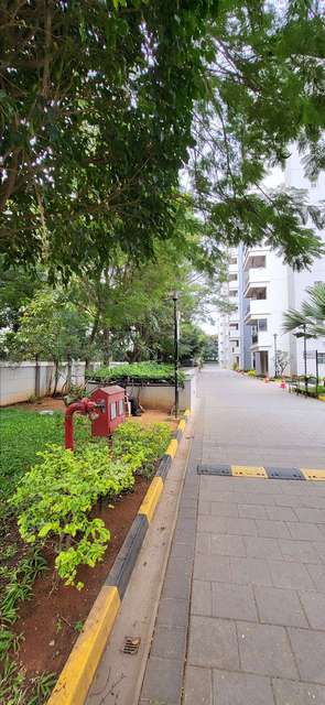 3 BHK Flat In Sobha Cinnamon And Saffron Apartment, Haralur For Sale  In Haralur