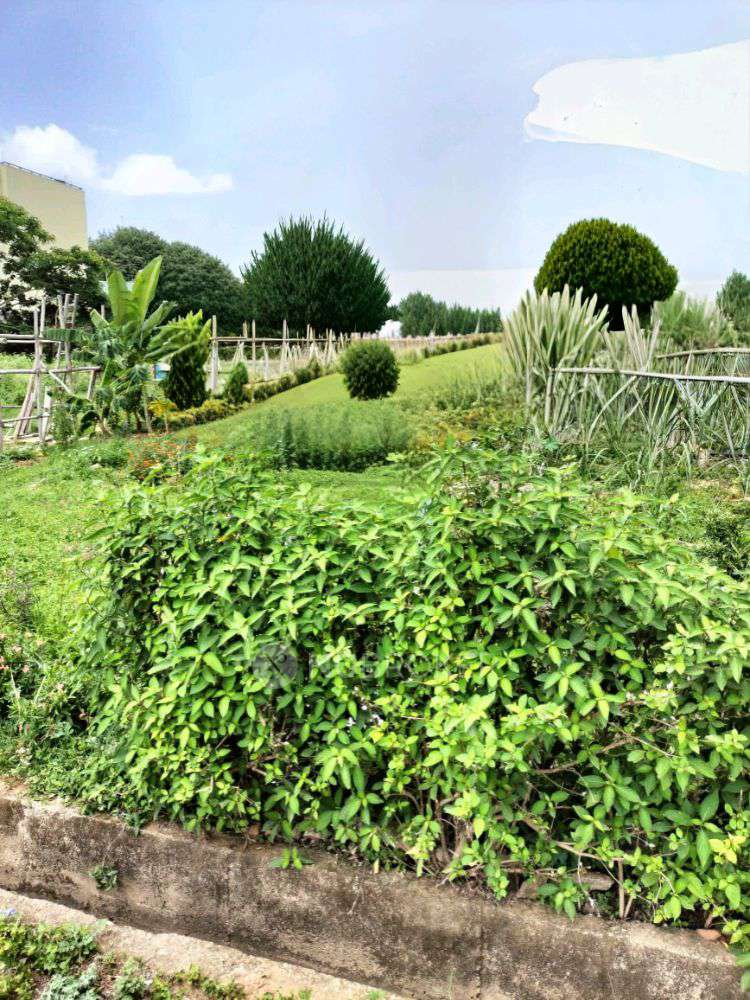 Plot For Sale  In Ramanagara