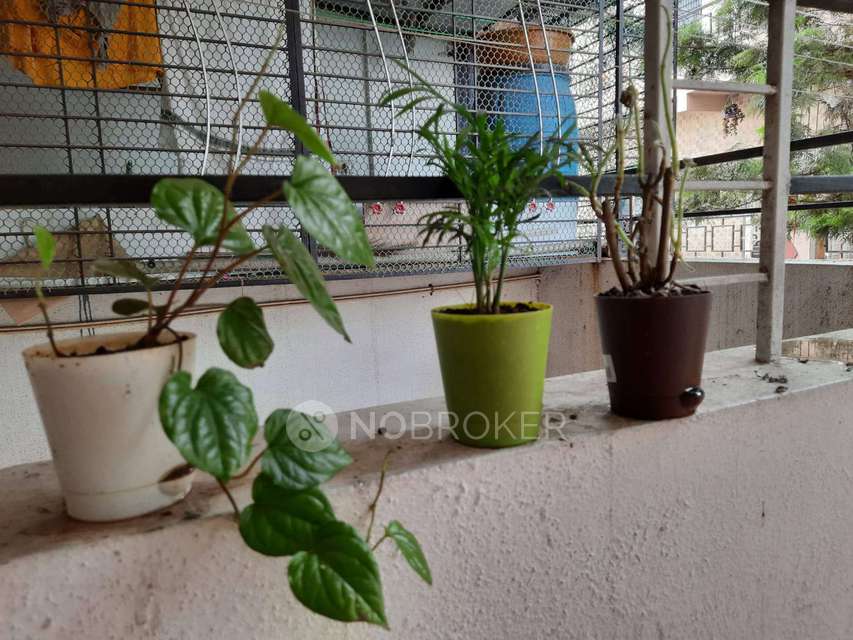 1 BHK Flat In Royal Residency for Rent  In  Pimpri Chinchwad