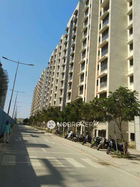 1 BHK Flat In Orchid Housing Society for Rent  In Thane