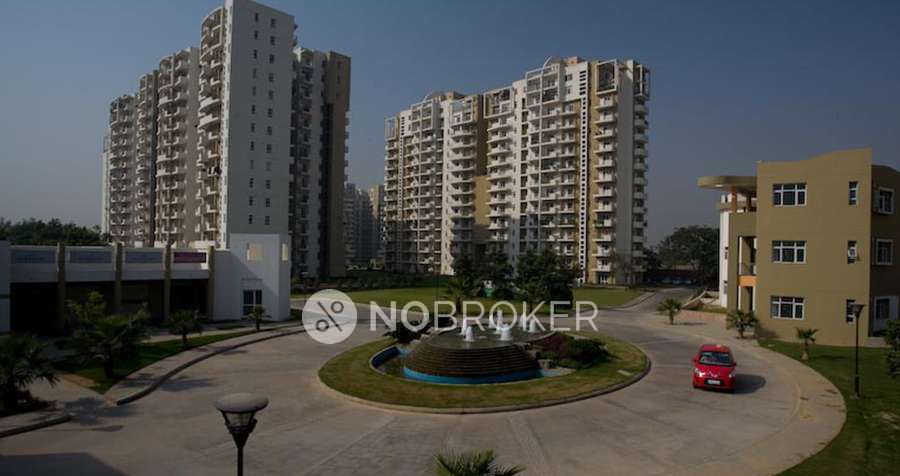 2 BHK Flat In Bestech Park View for Rent In Gurugram