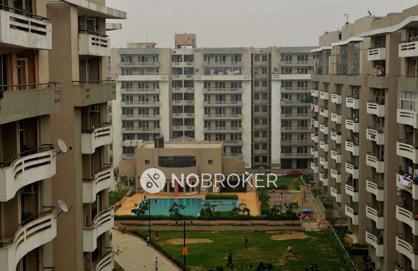 3 BHK Flat In Gulmohar Greens for Rent  In Rajendra Nagar,