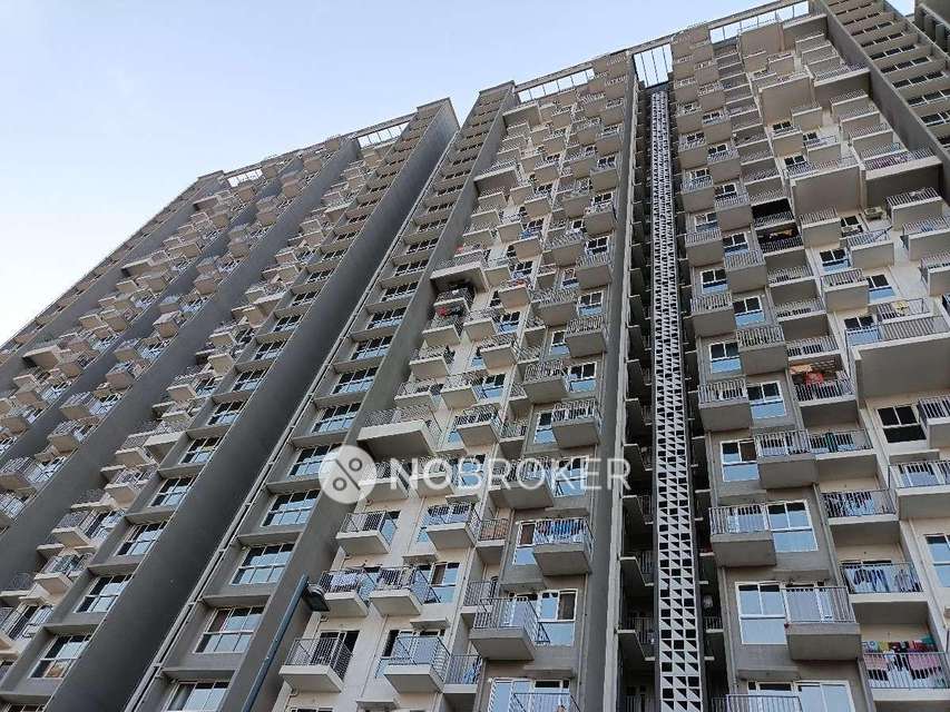 1 BHK Flat In Godrej Hillside 1 for Rent  In Mahalunge