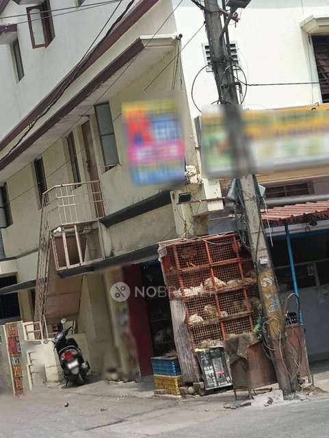 PG for Anyone in Btm Layout