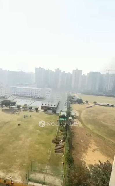 PG for Anyone in Amrapali Dream Valley Apartments