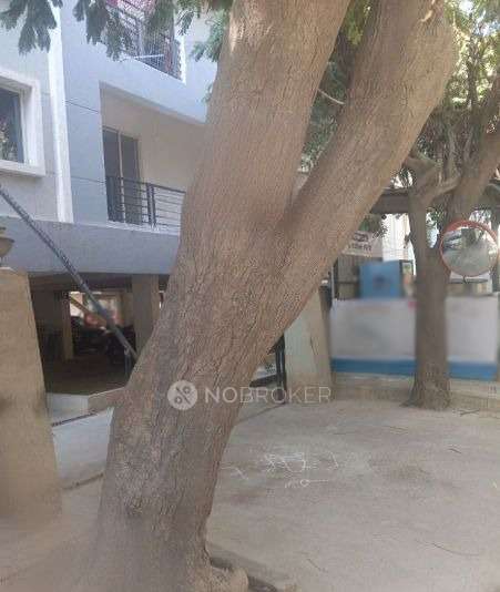 3 BHK Flat In Standalone Builidng for Rent  In Chandha Nagar