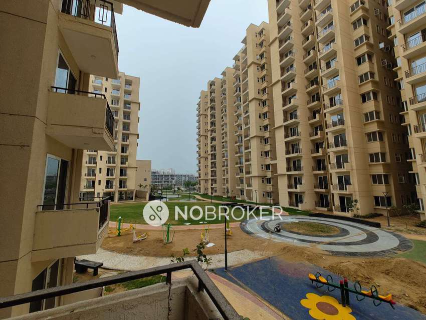 2 BHK Flat In Signature Orchard Avenue for Rent  In Sector 93