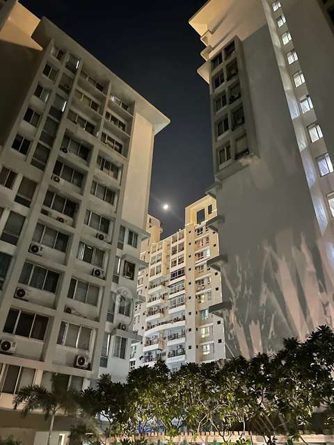 1 BHK Flat In Windsor Park For Sale  In Indirapuram