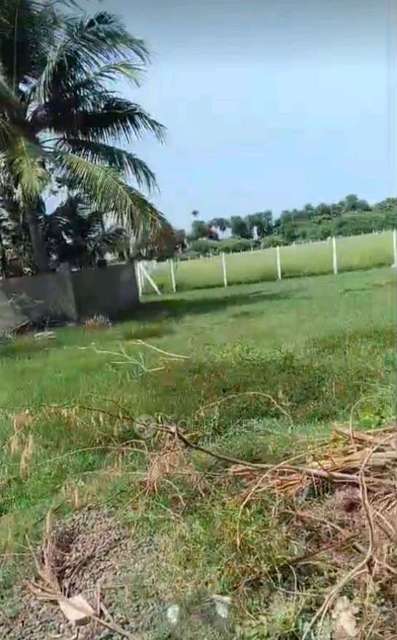 Plot For Sale  In Thirumullaivoyal