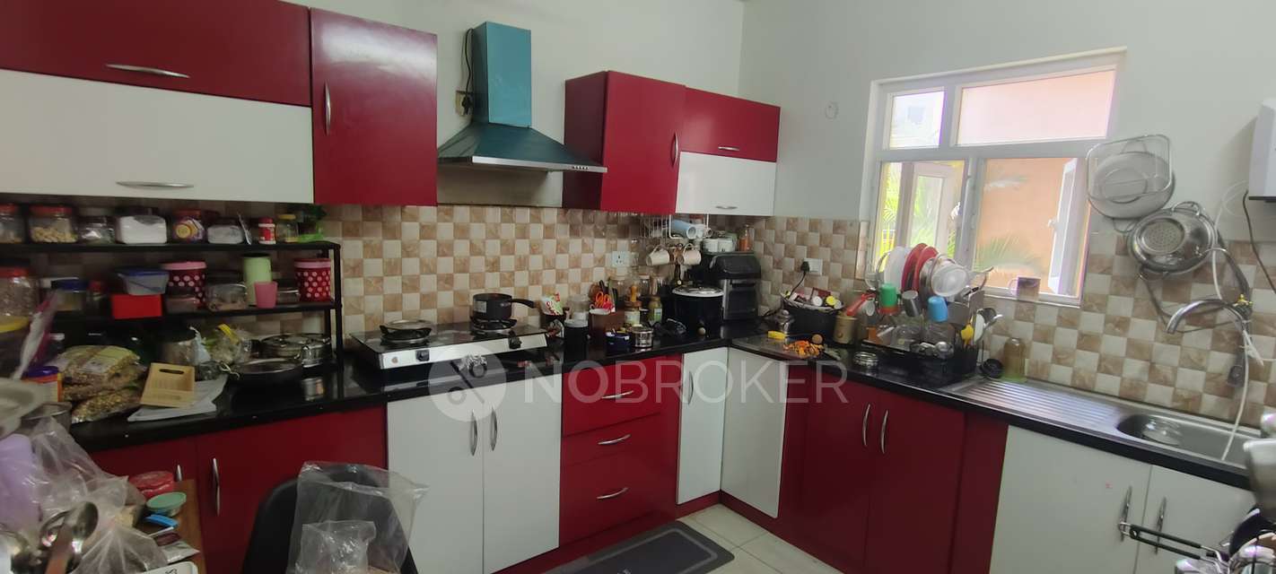 2 BHK Flat In Mahindra Ashvita Lifespaces for Rent  In Hitec City