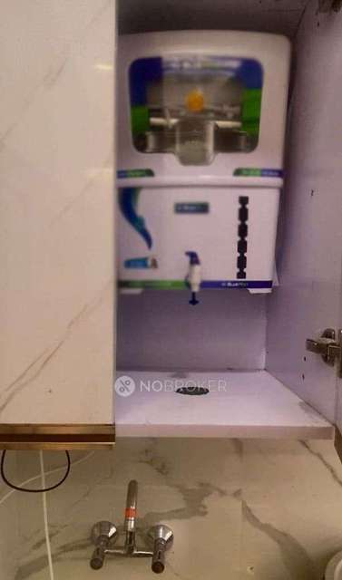 2 BHK Flat In Amrapali Terrace Homes For Sale  In Noida Extension