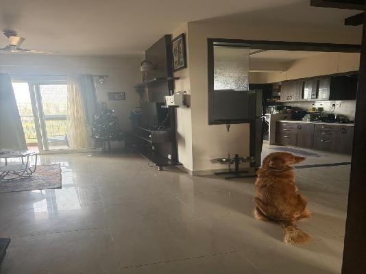 3 BHK Flat In Spl Samethana Lake Front For Sale  In Samethanahalli