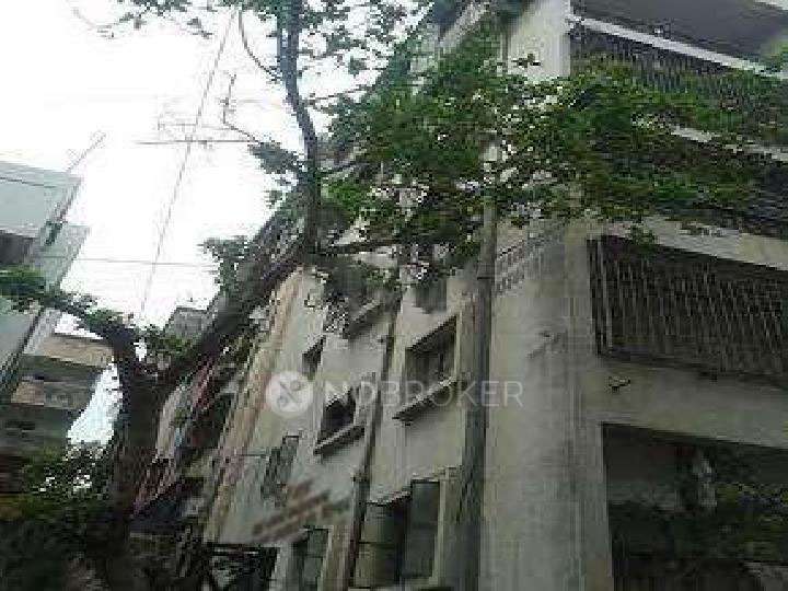 3 BHK Flat In Surbhi Sadan for Rent In Bibwewadi