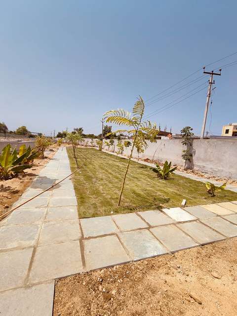 Plot For Sale  In West County  In Pati