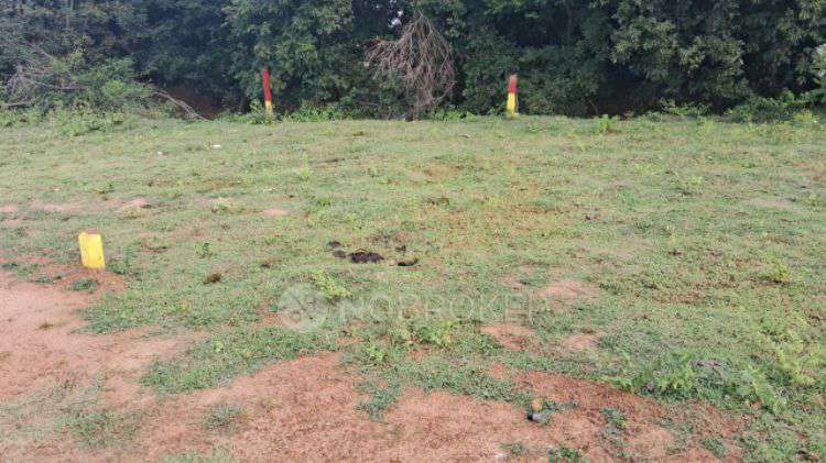 Plot For Sale  In Pammadukullam Village, Redhills