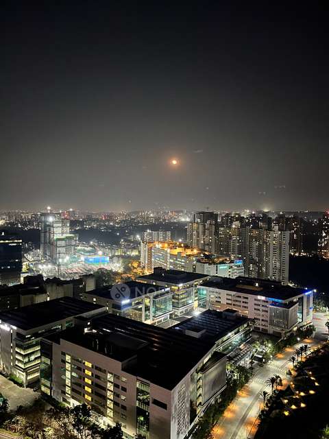 1 BHK Flat In Paranjape Blue Ridge for Rent  In Hinjewadi