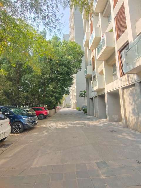 3 BHK Flat In Lodha Belmondo for Rent  In Gahunje
